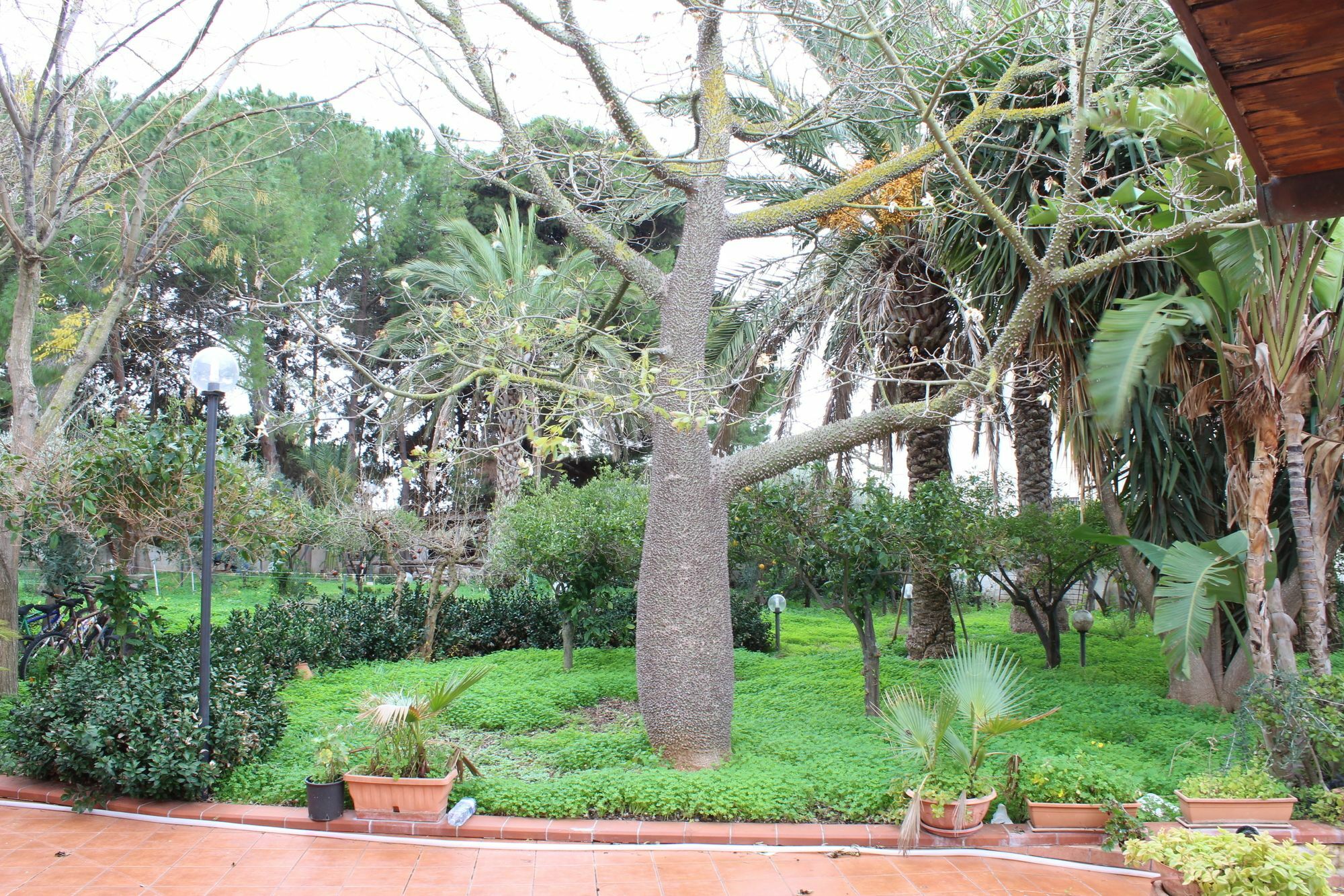 Villa Delle Nifee Mazara del Vallo Ngoại thất bức ảnh